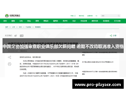 中国足协加强审查职业俱乐部欠薪问题 逾期不改将取消准入资格