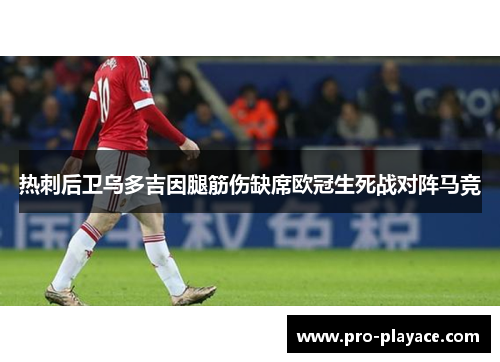 热刺后卫乌多吉因腿筋伤缺席欧冠生死战对阵马竞